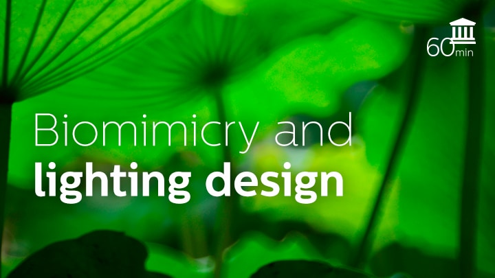 Biomimicry