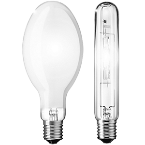 HID Lamp