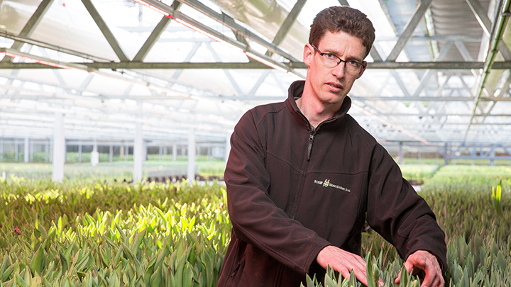 Jos Borst verzorgt zijn planten onder Philips-tuinbouwverlichting 