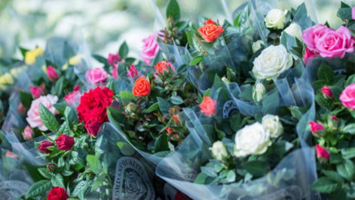 Kleurig boeket van de bloemen die Leo van der Harg in zijn kas kweekt.