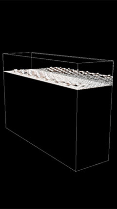 Een doorkijkdisplay van de mogelijkheden van OLED's