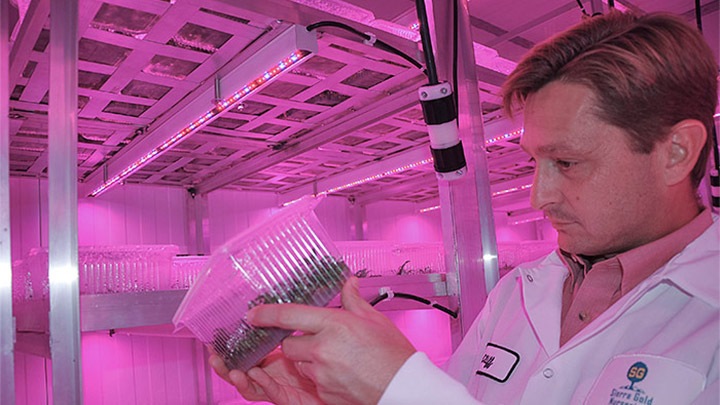 Het laboratorium van Sierra Gold Nurseries, verlicht met GreenPower LED's van Philips Lighting