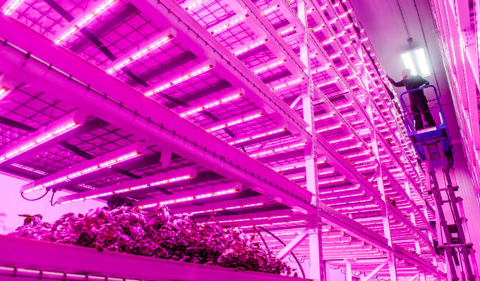 Green Sense Farms