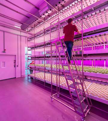 BrightBox City Farming
