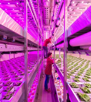 BrightBox City Farming