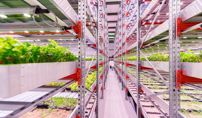 GrowUp Urban Farms