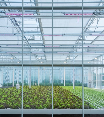 Testing Station for Olericulture, Belgium