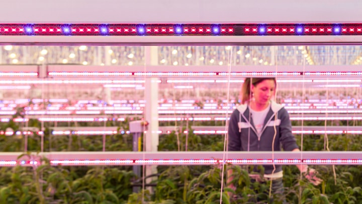 Drie mannen poseren voor de Van Nature/Jamis-kas die wordt verlicht door Philips Lighting