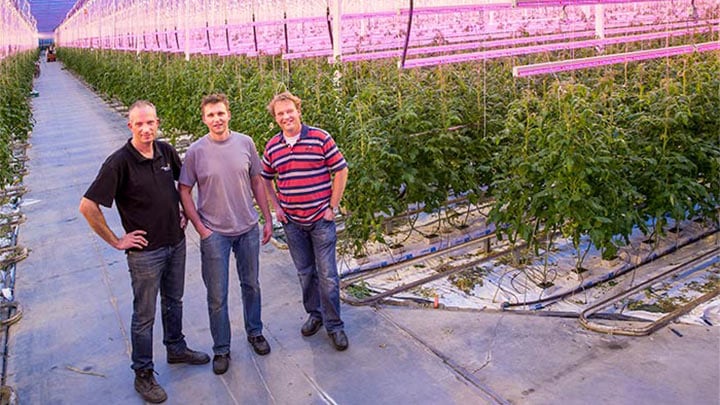 Drie mannen poseren voor de Van Nature/Jamis-kas die wordt verlicht door Philips Lighting