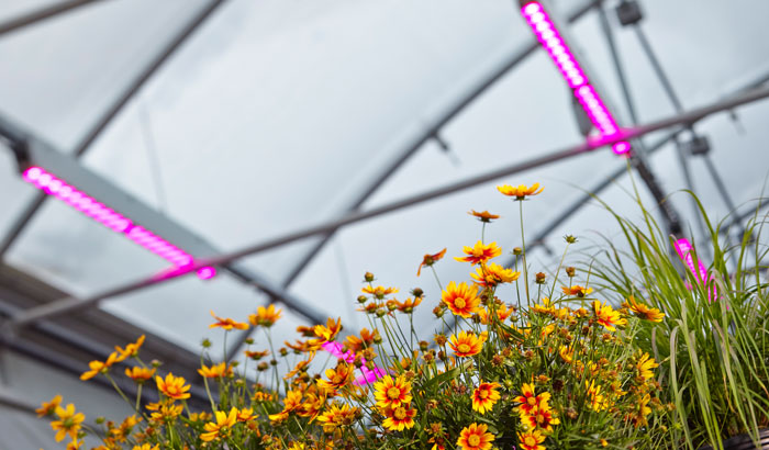 Walters Gardens