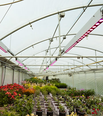 Walters Gardens USA