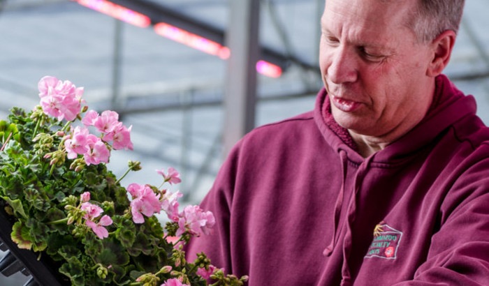 Kalamazoo Specialty Plants