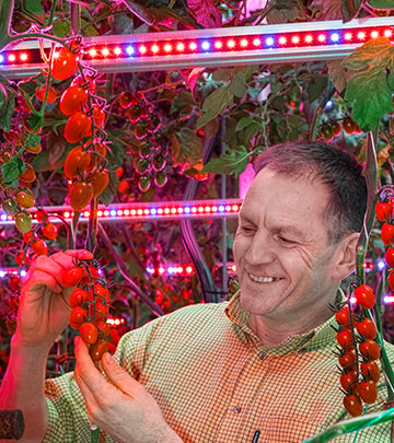 Andy Roe, Productiemanager