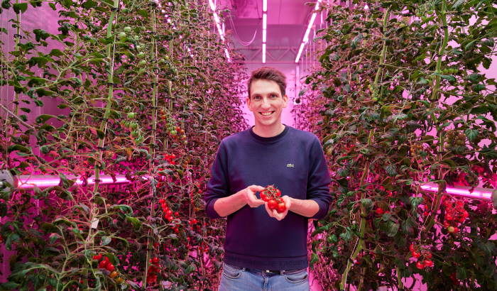 Creating a recipe for growth for indoor farming