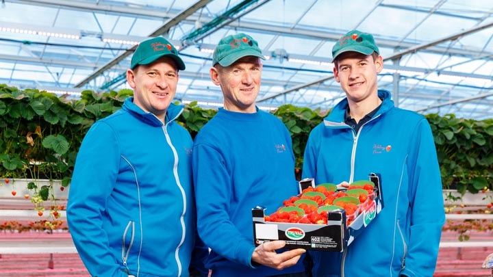 Jurgen, Frank en Sven Royen