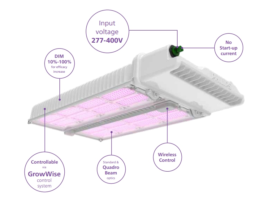 LIGHTING ARUT FALF FEGERENEPIN フェゲレネピン GreenPower LED toplighting force 2.0 | Philips lighting