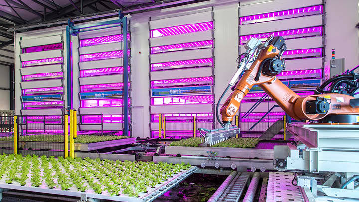Conclusion - Proven results of LED interlighting for high-wire cultivation