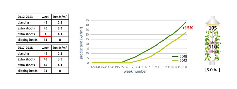 Earlier higher plant density for higher winter production