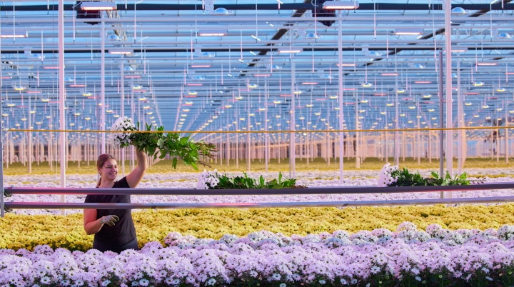 Slimme ontwerpkeuzes met Philips LED toplighting force