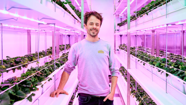 Philips Growwise Strawberry