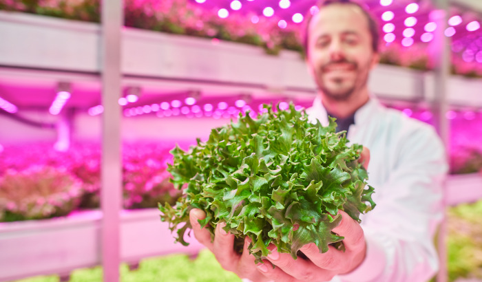 4 opmerkelijke resultaten die u kunt bereiken met dynamische LED-groeilampen in een verticale kwekerij