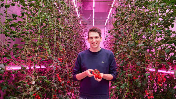 Growwise Tomaten