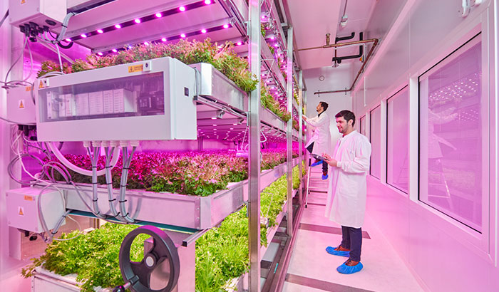 The role of sensors and data collection in a successful vertical farm