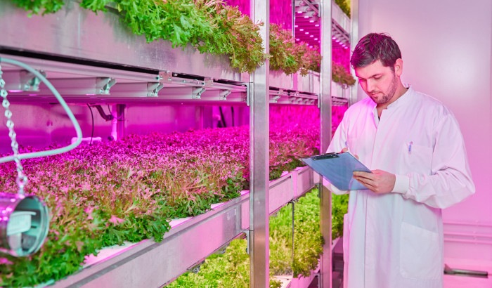 Want to control nitrate levels in leafy greens?