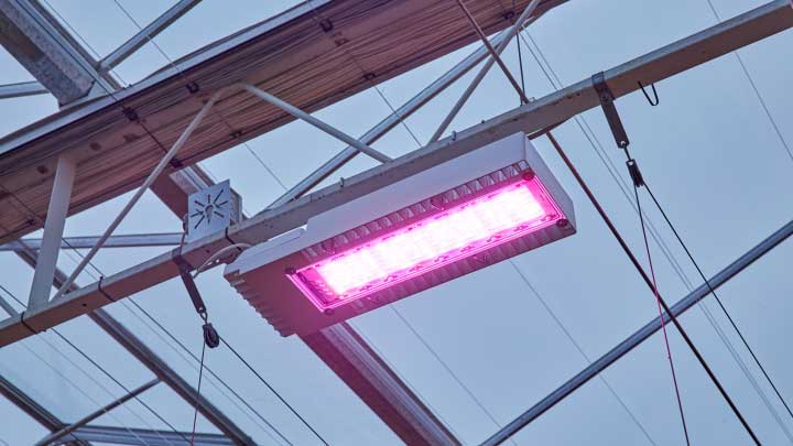 GreenPower LED toplighting compact