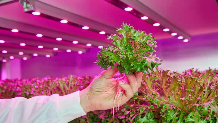 GreenPower LED productiemodule