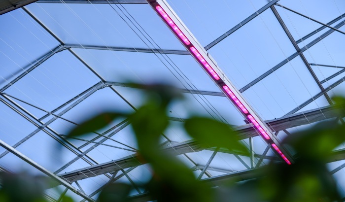 LED-lichtplannen vergelijken