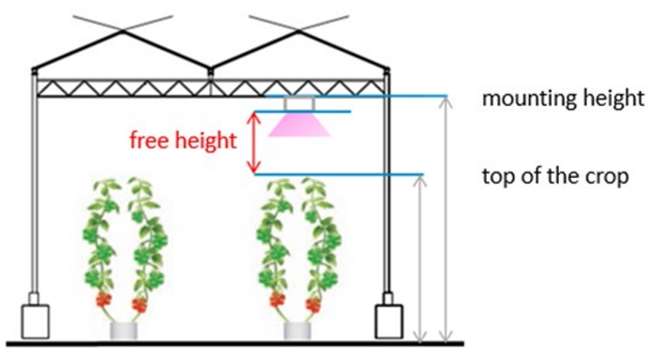De vrije hoogte wordt berekend door de afstand tussen de uiteindelijke bovenkant van het gewas te meten