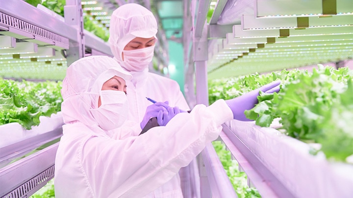 Japanese food producers harvest the benefits of vertical farming with LED lighting