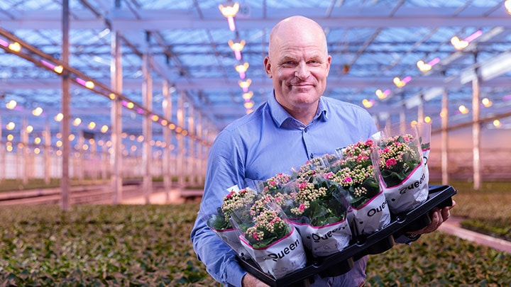 Danish kalanchoe producer Queen