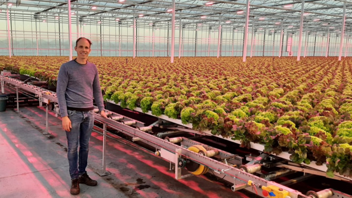 Philips Horticulture LED-oplossingen van Signify