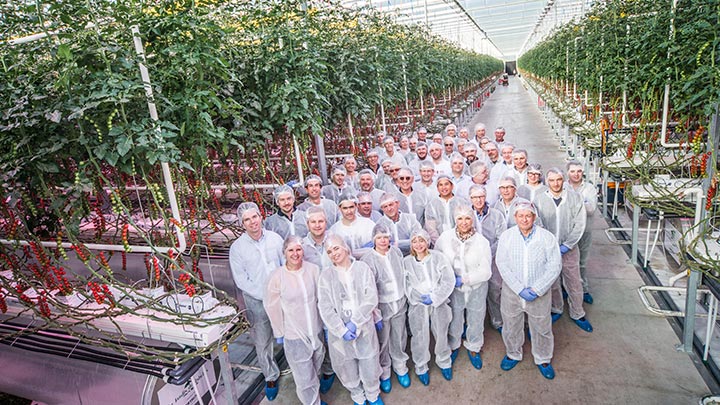French 100% LED tomato growers share expertise at fourth Philips High Wire Event