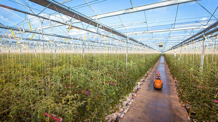 Philips Lighting ondertekent nieuw project voor LED-belichting met langdurige partner Wim Peters