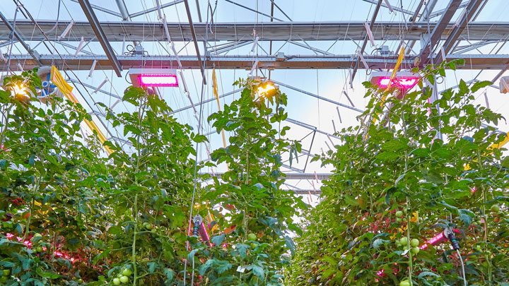 Signify ondersteunt Bryte voor zijn nieuwe kasuitrusting met Philips LED belichtingssysteem