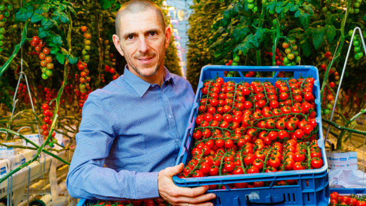 Signify helps AppHarvest to increase yields in 25-hectare greenhouse