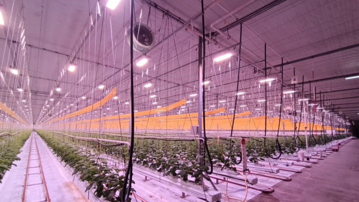 LED light installation 
