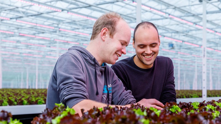 Sla en bladgroenten met langere houdbaarheid, diepere kleur en meer smaak 