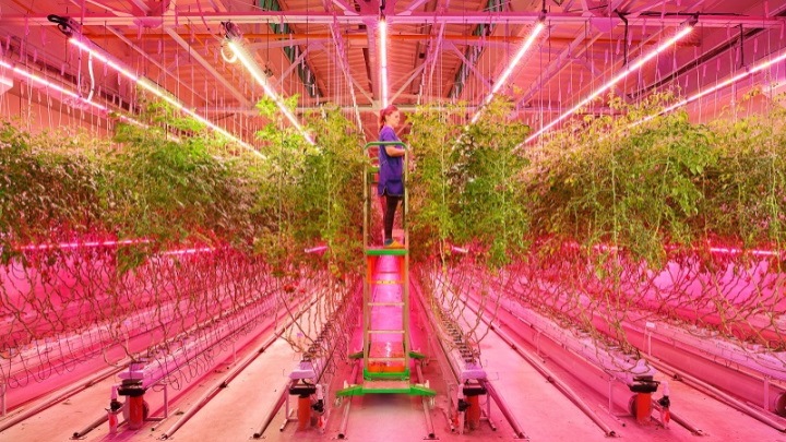 GreenPower LED toplighting