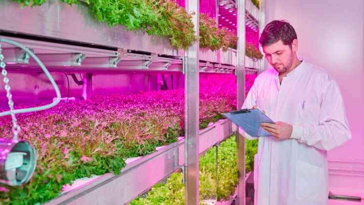 GrowWise Center