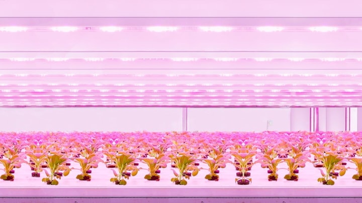 GreenPower LED productiemodule