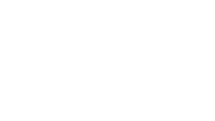 Gevarieerd portfolio