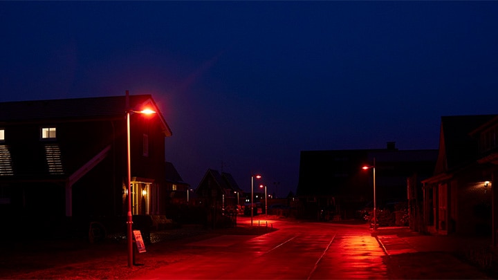 Bescherming van vleermuizen, die gevoelig zijn voor licht