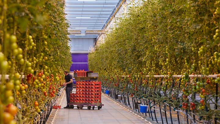 Agro Care 