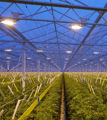 Agro Care 