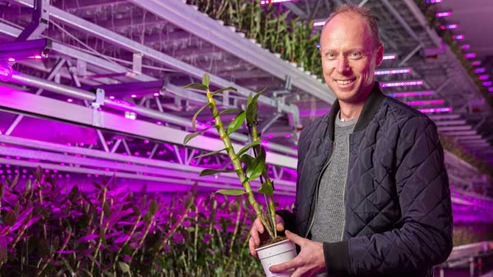 De Hoog Orchideeen
