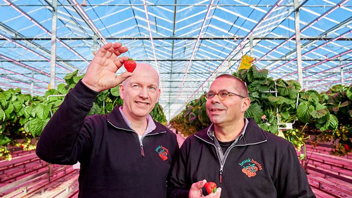 Brookberries Venlo